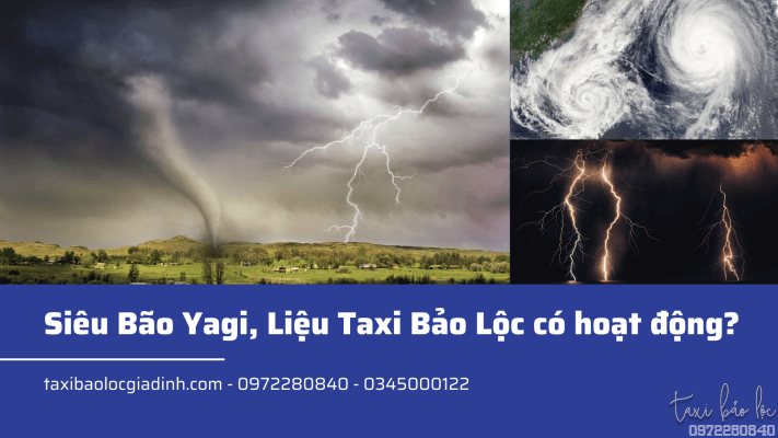 Giong bao Bao va Loc xoay Bai thuyet trinh Khoa hoc mau Xanh hai quan Xam Chup anh