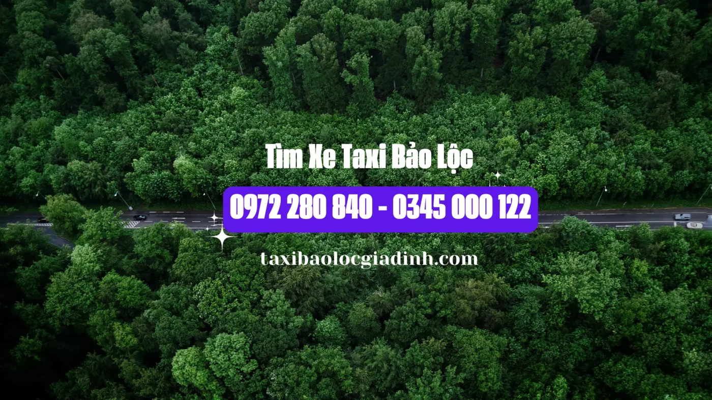 Tìm Xe Taxi Bảo Lộc